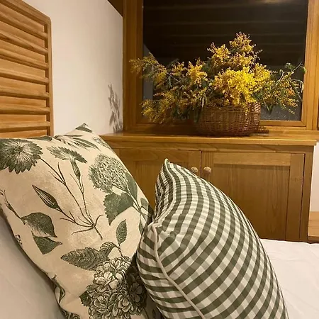 A Casa Dos Ratos Quiroga